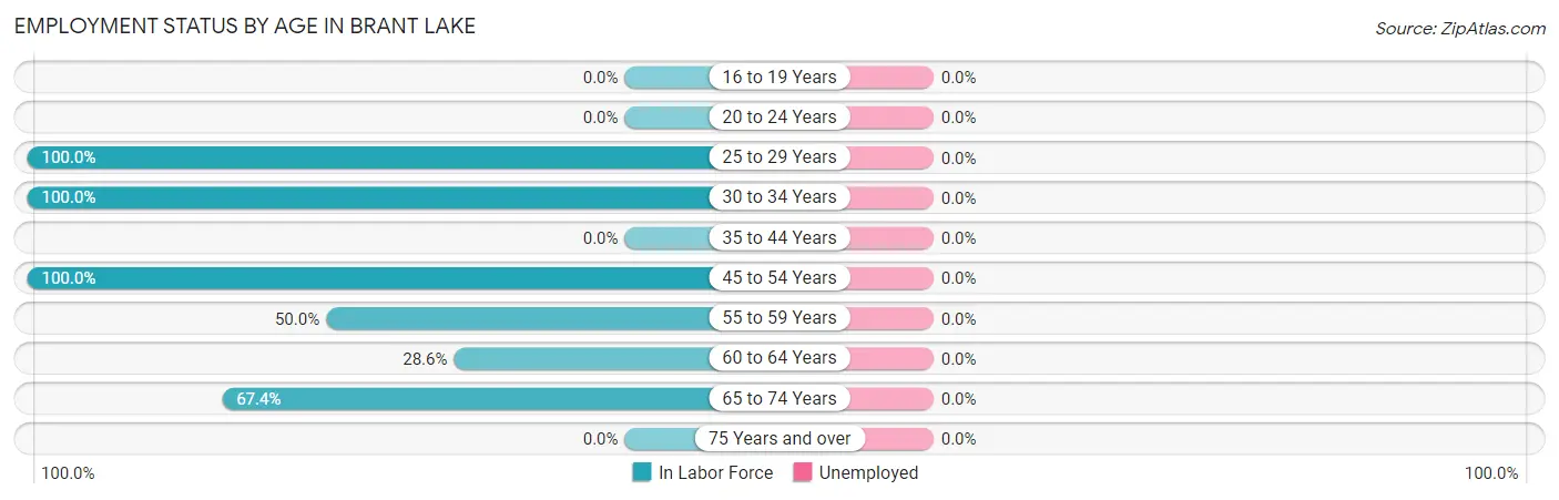 Employment Status by Age in Brant Lake