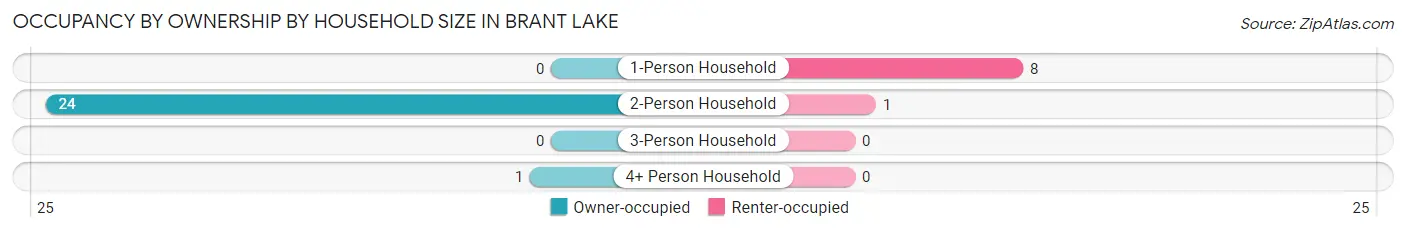 Occupancy by Ownership by Household Size in Brant Lake