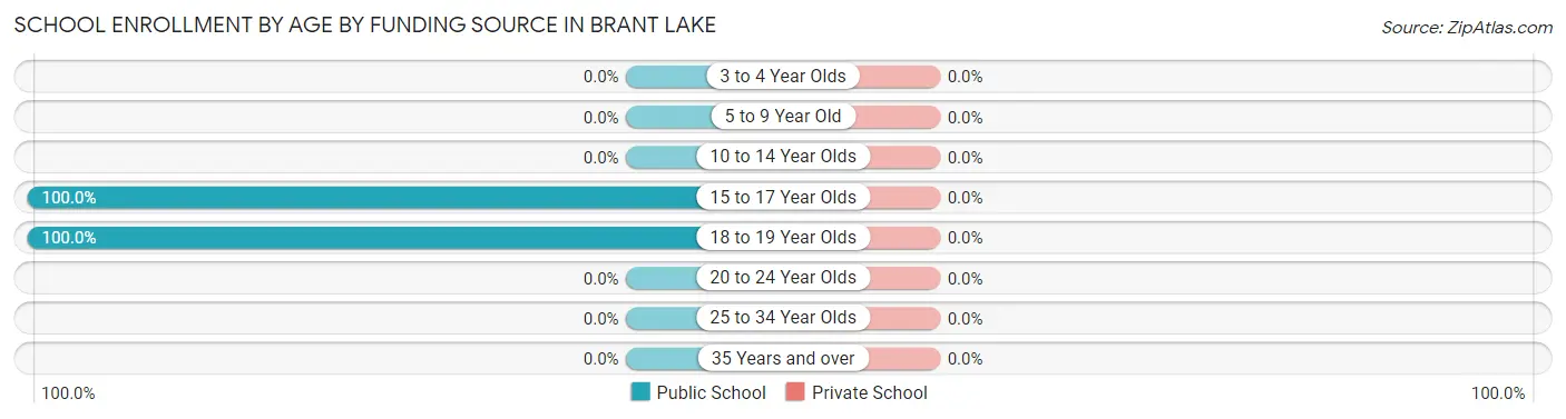 School Enrollment by Age by Funding Source in Brant Lake