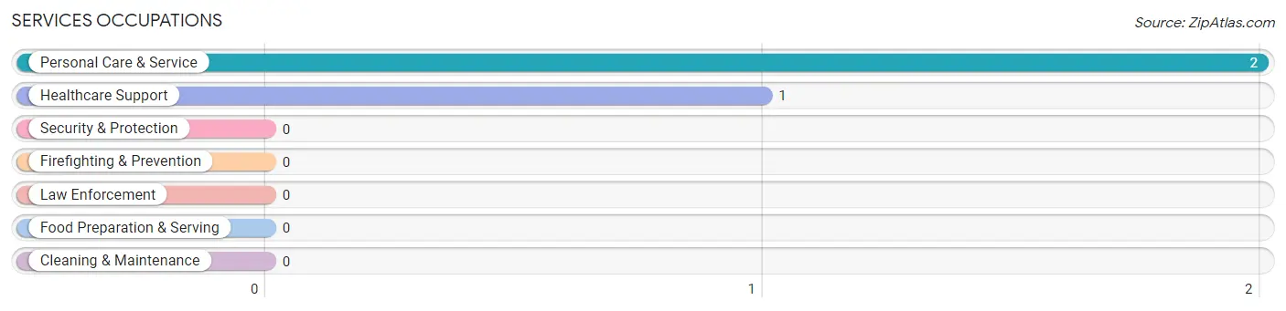 Services Occupations in Brant Lake