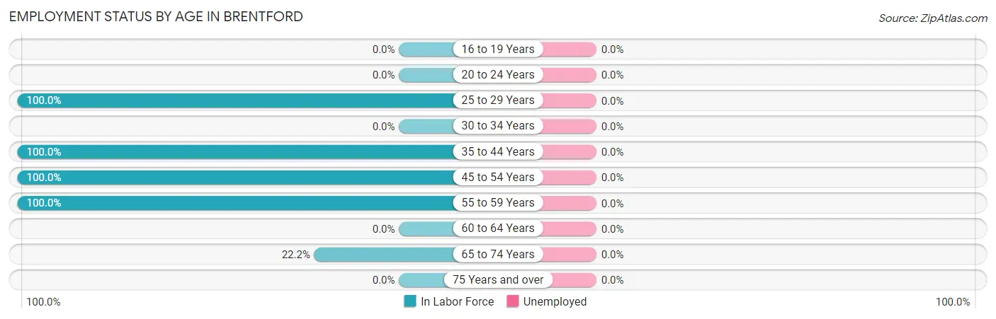 Employment Status by Age in Brentford