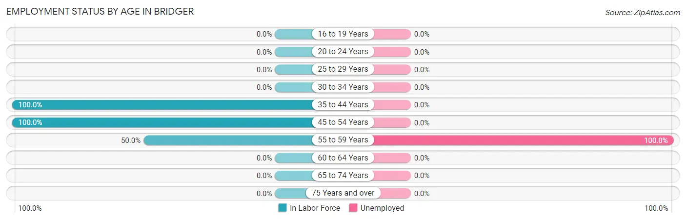 Employment Status by Age in Bridger