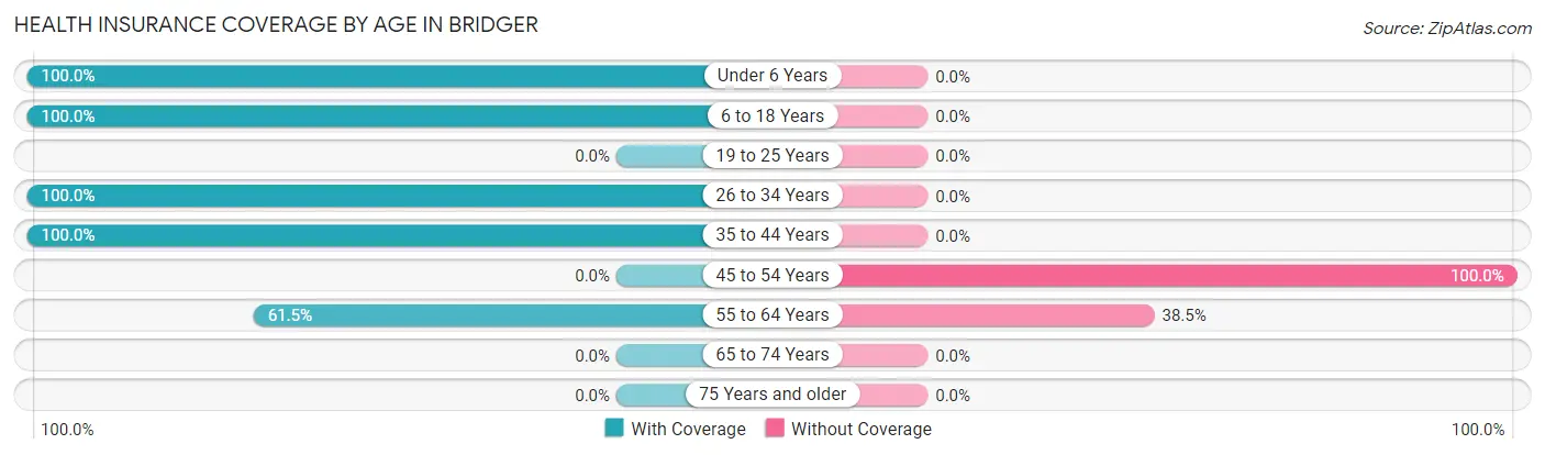 Health Insurance Coverage by Age in Bridger