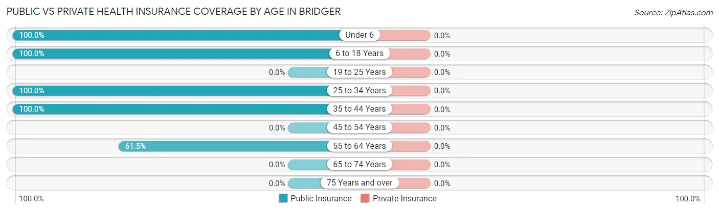 Public vs Private Health Insurance Coverage by Age in Bridger