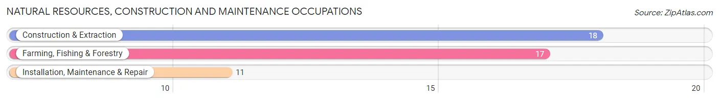 Natural Resources, Construction and Maintenance Occupations in Bridgewater