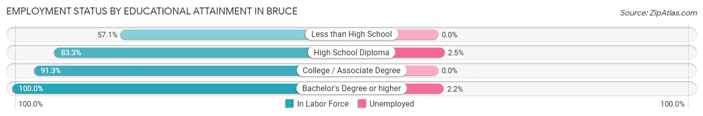 Employment Status by Educational Attainment in Bruce