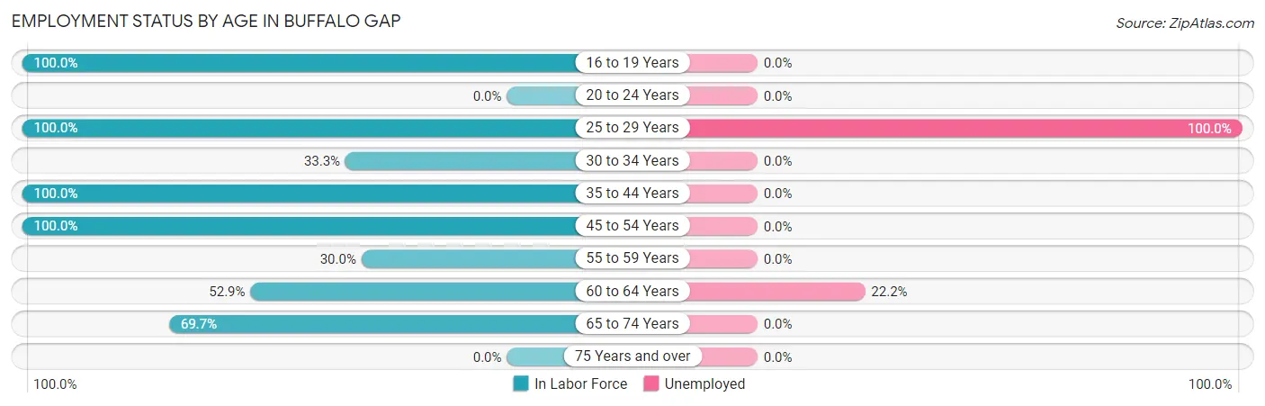 Employment Status by Age in Buffalo Gap