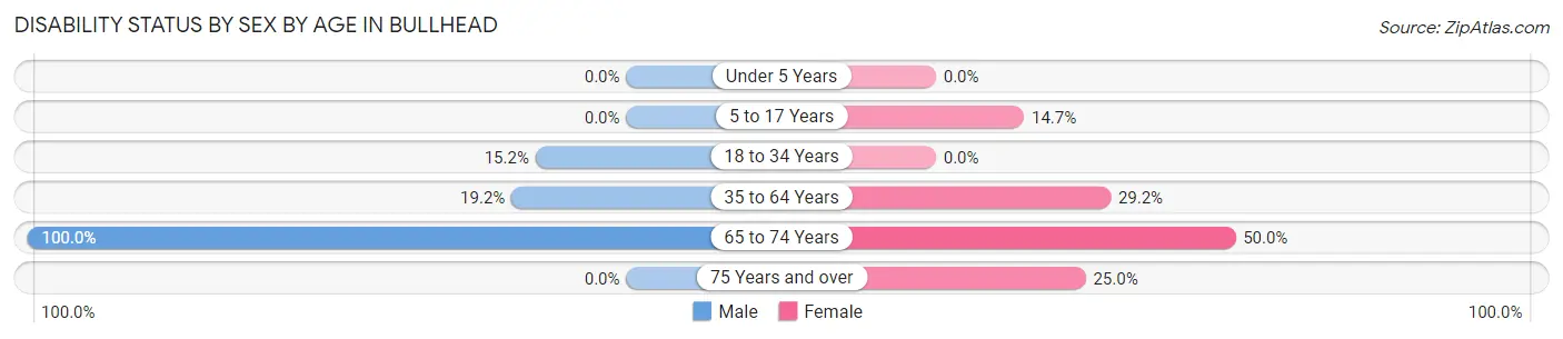Disability Status by Sex by Age in Bullhead