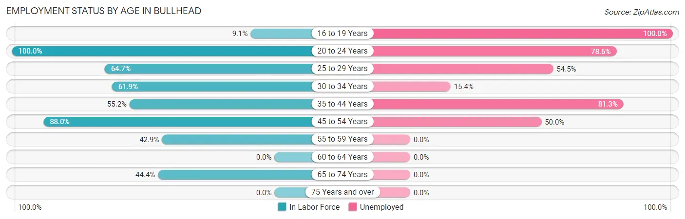 Employment Status by Age in Bullhead