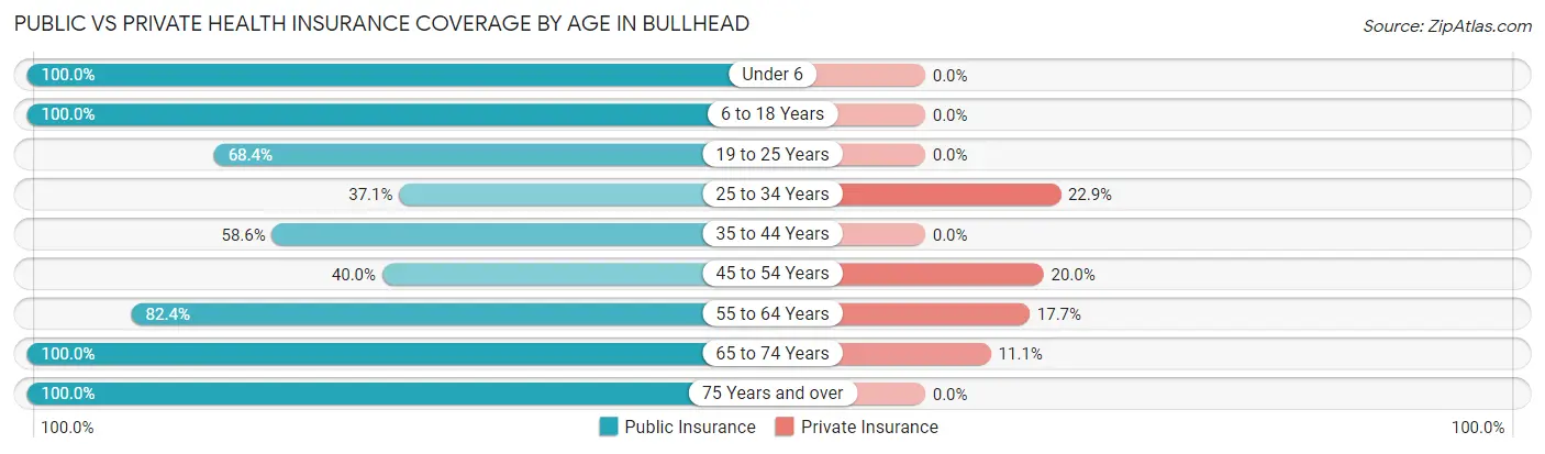 Public vs Private Health Insurance Coverage by Age in Bullhead