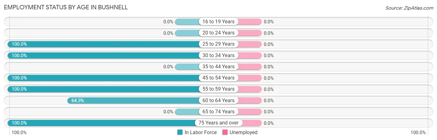 Employment Status by Age in Bushnell