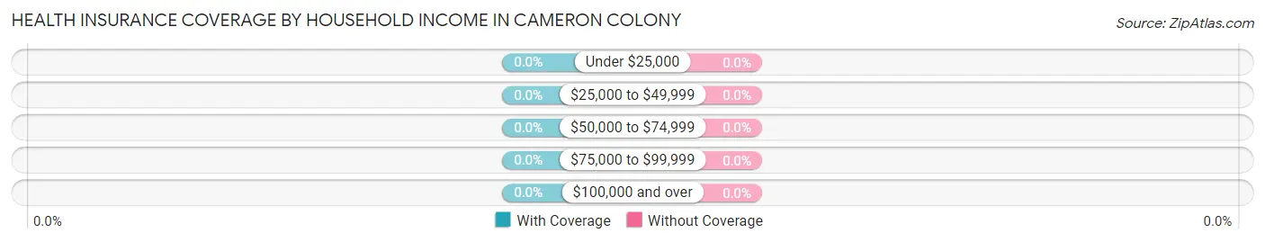 Health Insurance Coverage by Household Income in Cameron Colony