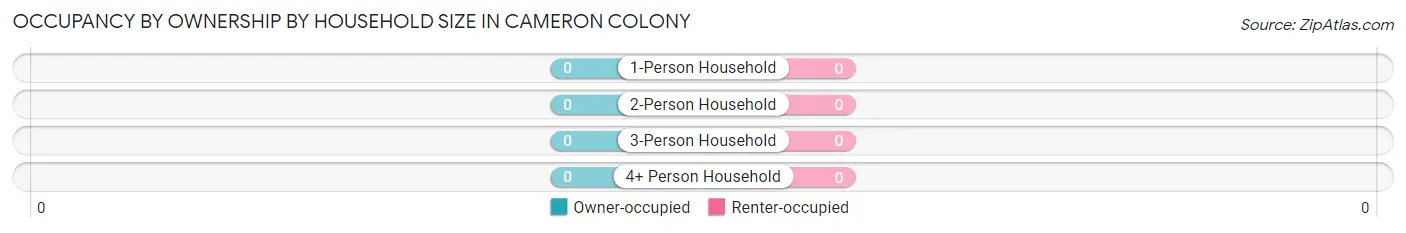 Occupancy by Ownership by Household Size in Cameron Colony