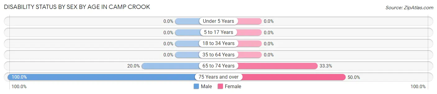 Disability Status by Sex by Age in Camp Crook