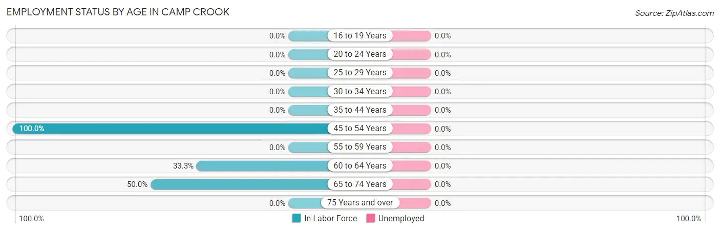 Employment Status by Age in Camp Crook