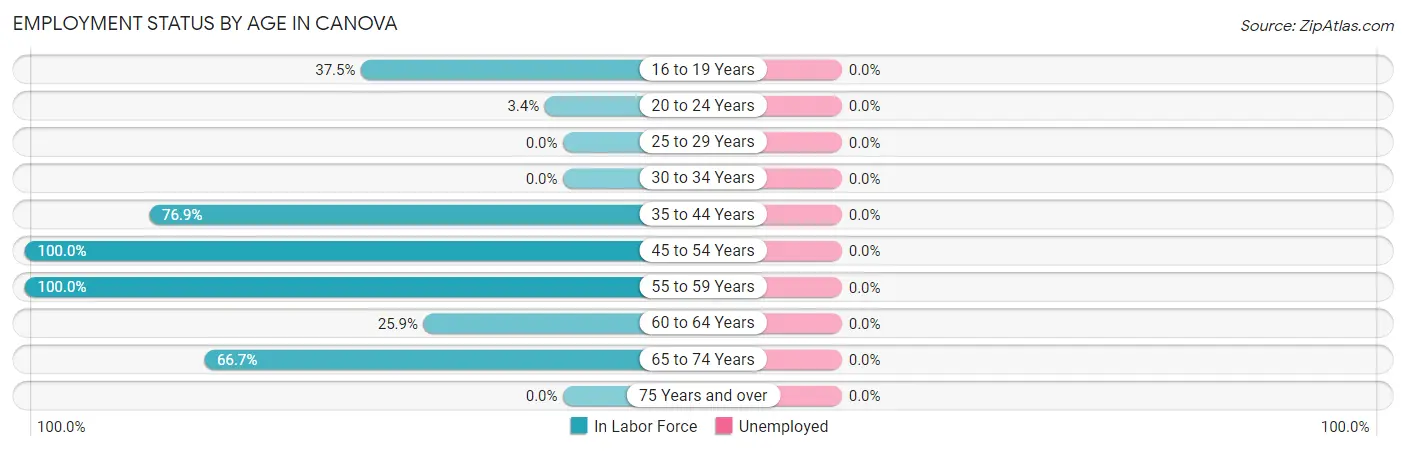 Employment Status by Age in Canova