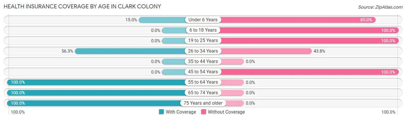 Health Insurance Coverage by Age in Clark Colony
