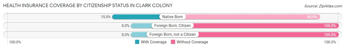 Health Insurance Coverage by Citizenship Status in Clark Colony