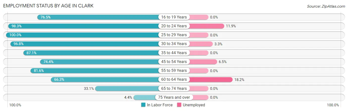Employment Status by Age in Clark