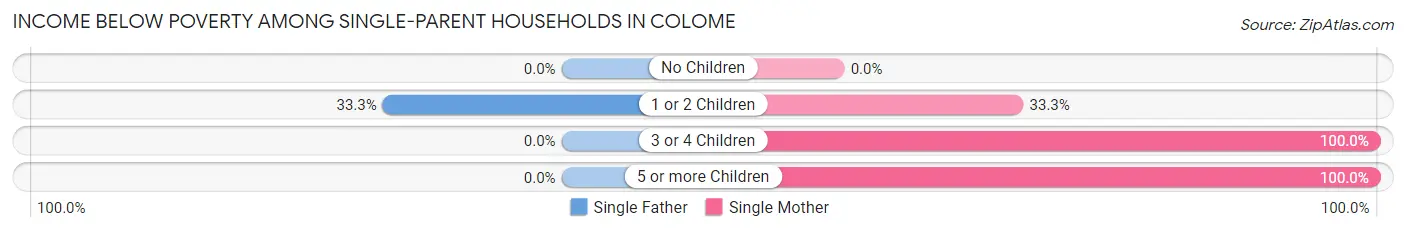 Income Below Poverty Among Single-Parent Households in Colome