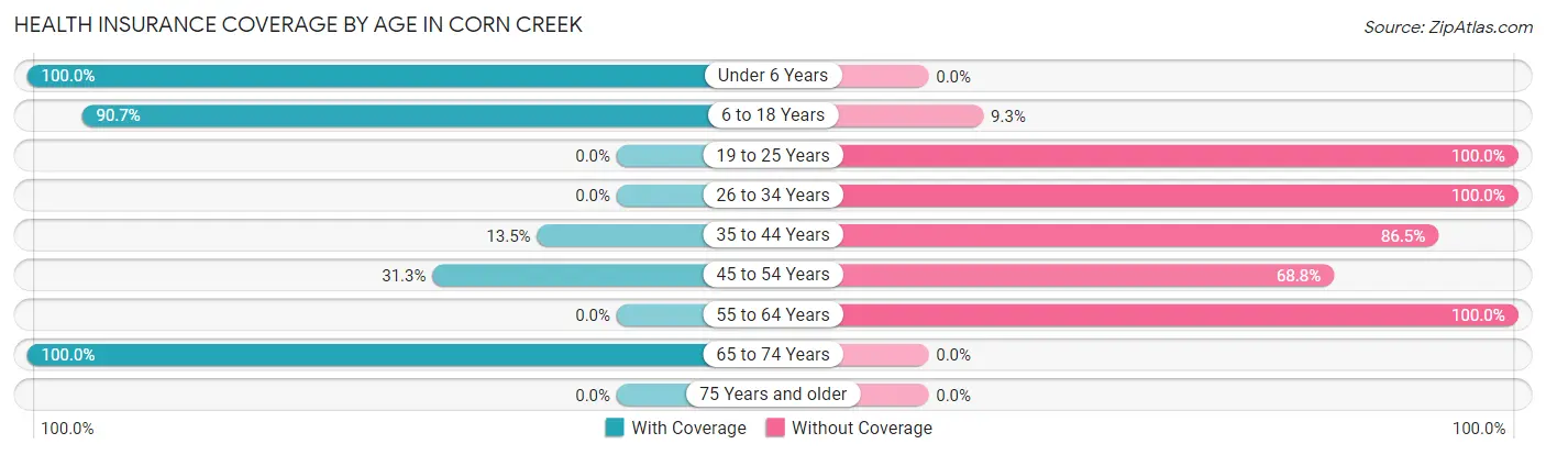 Health Insurance Coverage by Age in Corn Creek