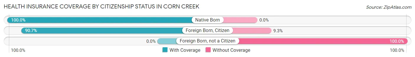 Health Insurance Coverage by Citizenship Status in Corn Creek