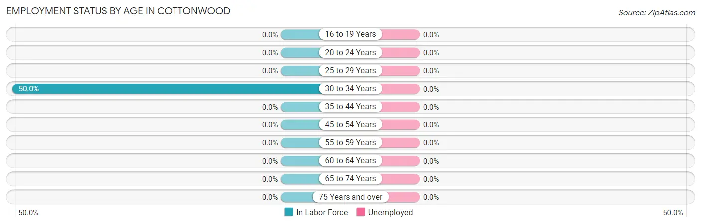 Employment Status by Age in Cottonwood