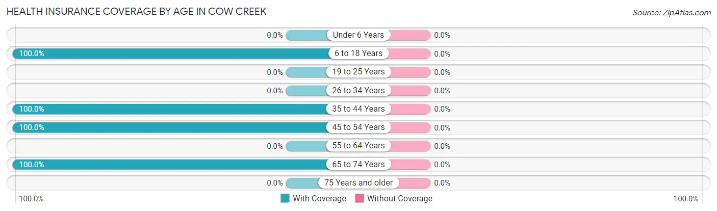 Health Insurance Coverage by Age in Cow Creek