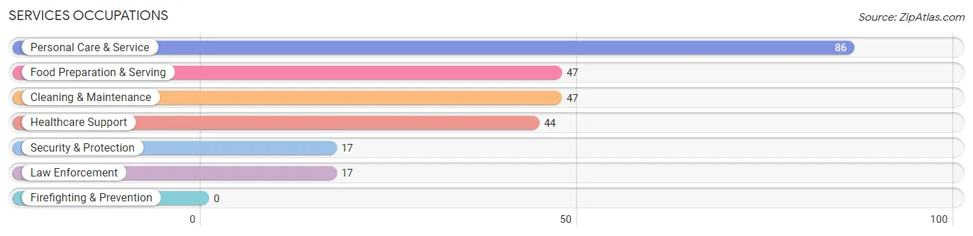 Services Occupations in Dell Rapids