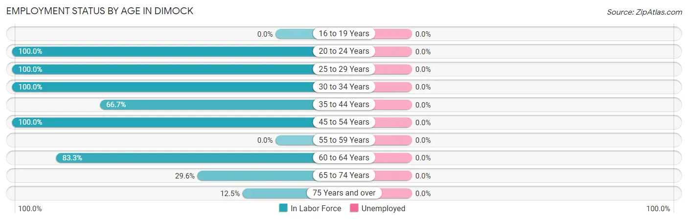 Employment Status by Age in Dimock