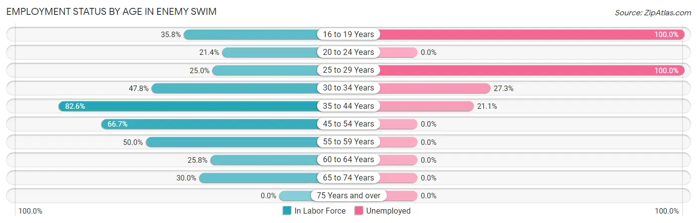 Employment Status by Age in Enemy Swim