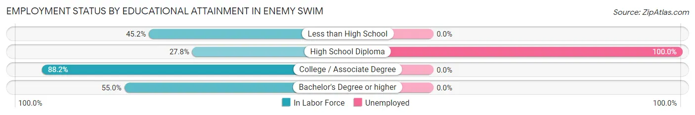Employment Status by Educational Attainment in Enemy Swim