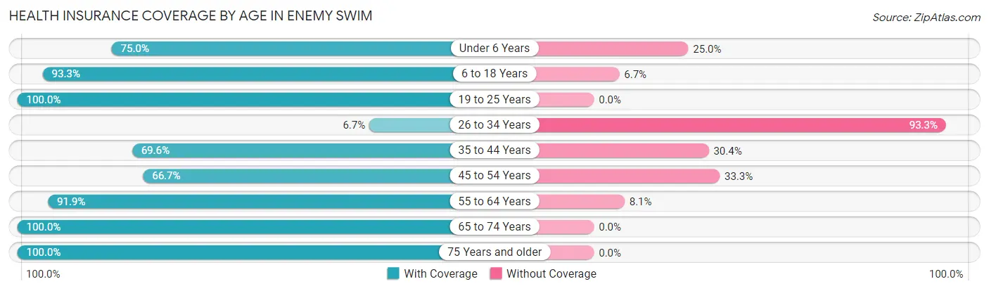 Health Insurance Coverage by Age in Enemy Swim