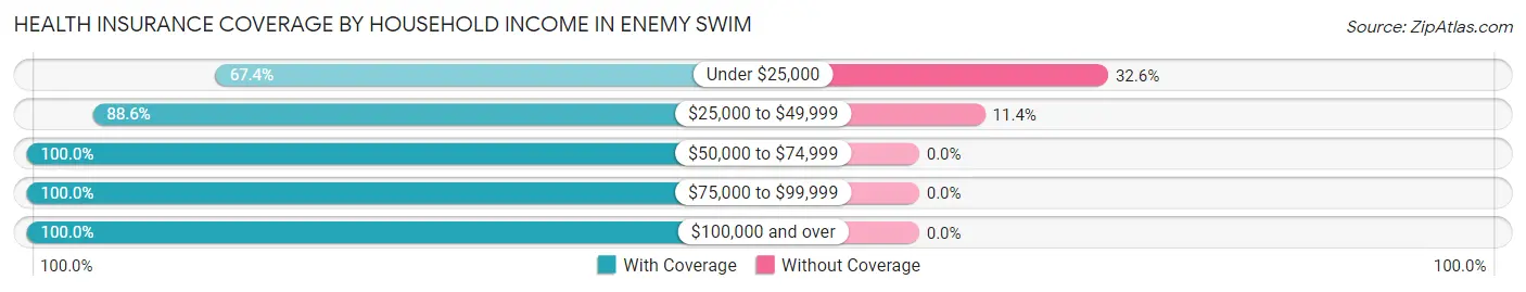 Health Insurance Coverage by Household Income in Enemy Swim