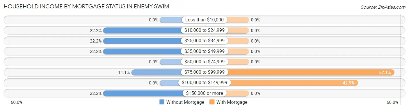 Household Income by Mortgage Status in Enemy Swim