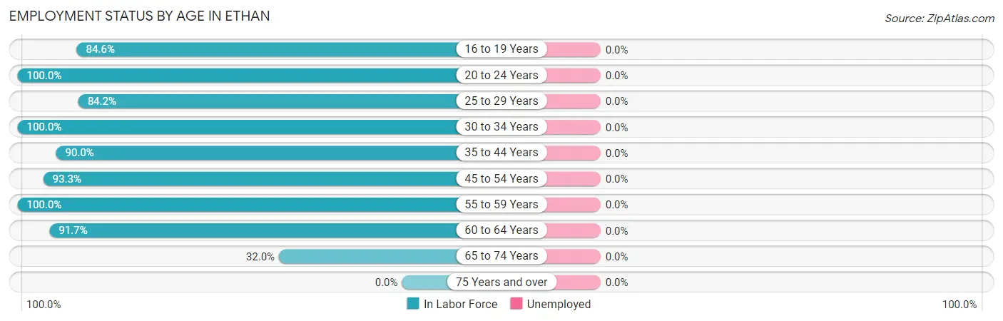 Employment Status by Age in Ethan