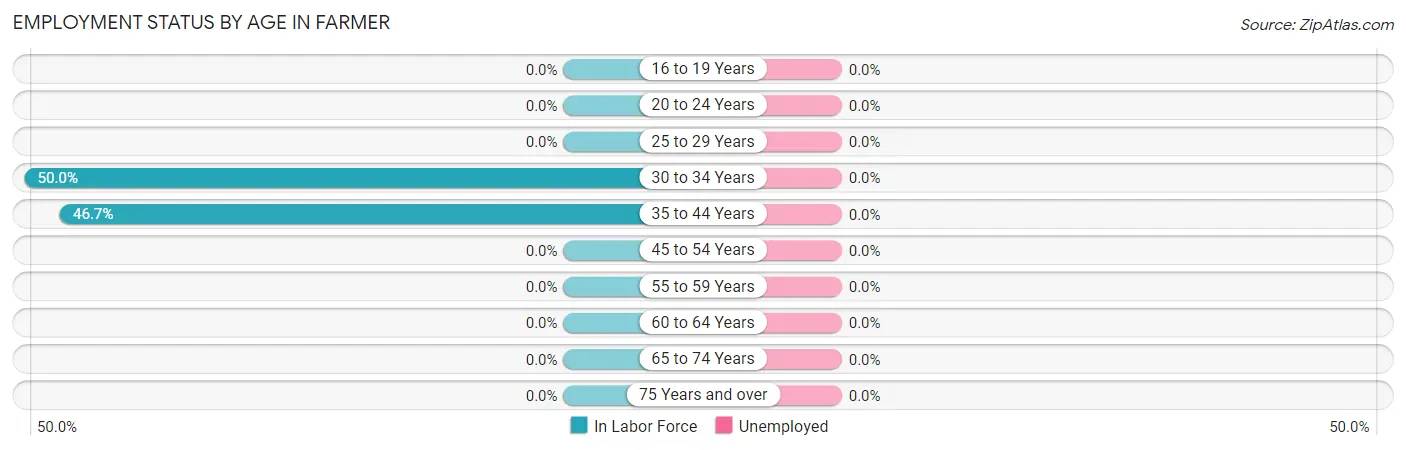 Employment Status by Age in Farmer