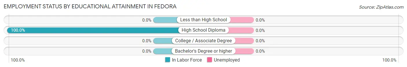 Employment Status by Educational Attainment in Fedora