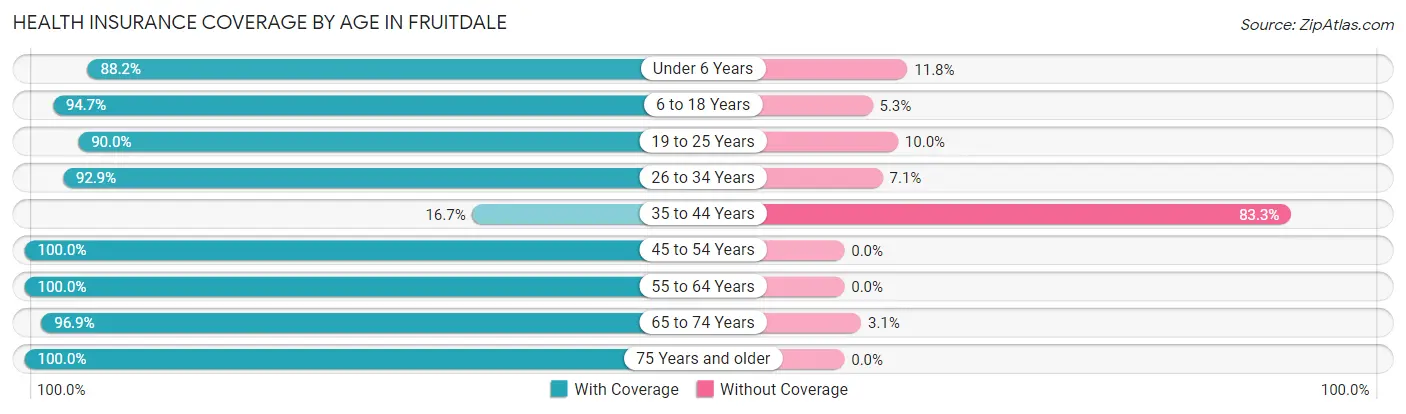 Health Insurance Coverage by Age in Fruitdale