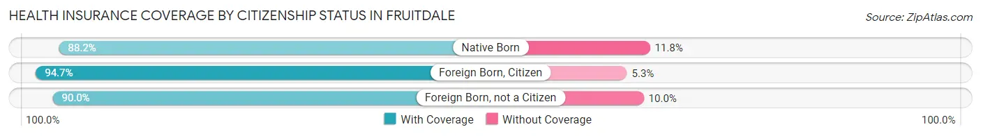 Health Insurance Coverage by Citizenship Status in Fruitdale