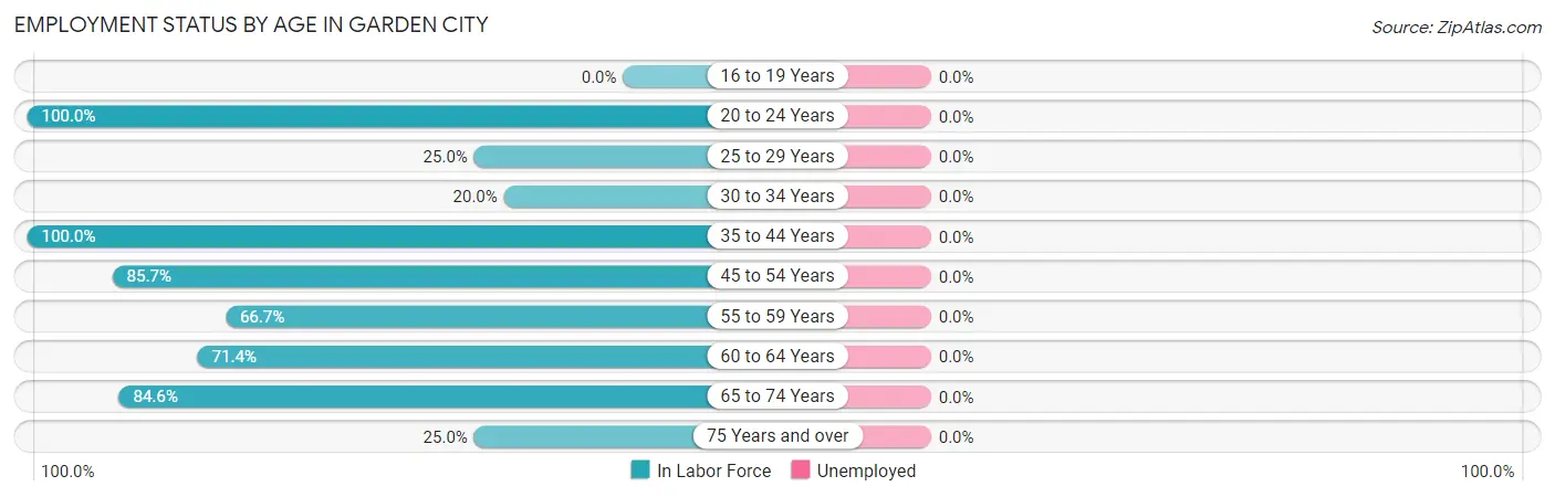 Employment Status by Age in Garden City