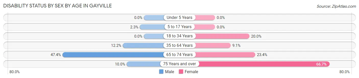 Disability Status by Sex by Age in Gayville