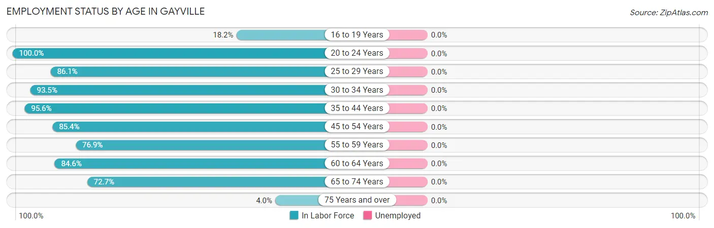Employment Status by Age in Gayville