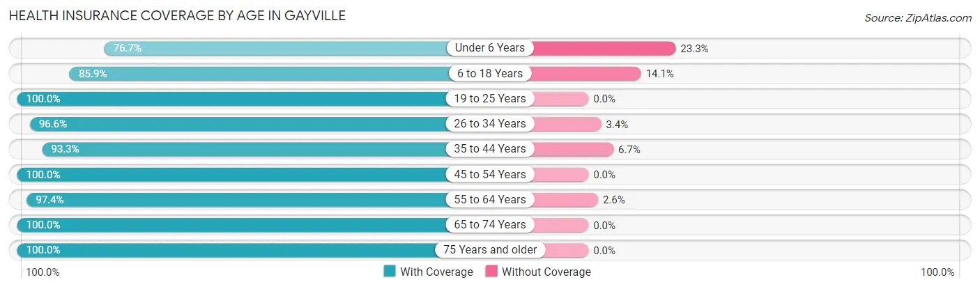Health Insurance Coverage by Age in Gayville