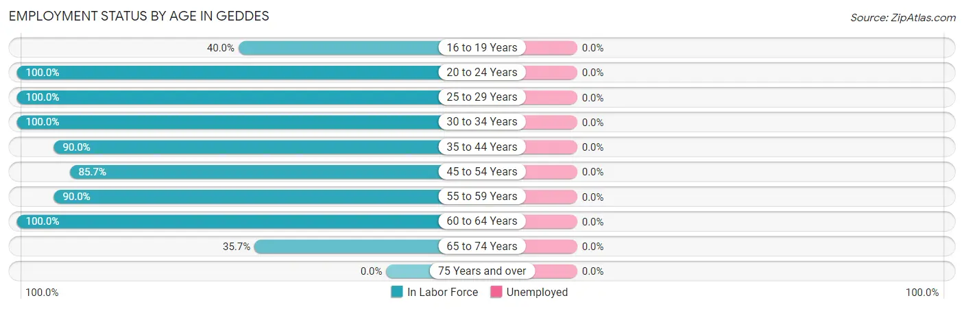 Employment Status by Age in Geddes