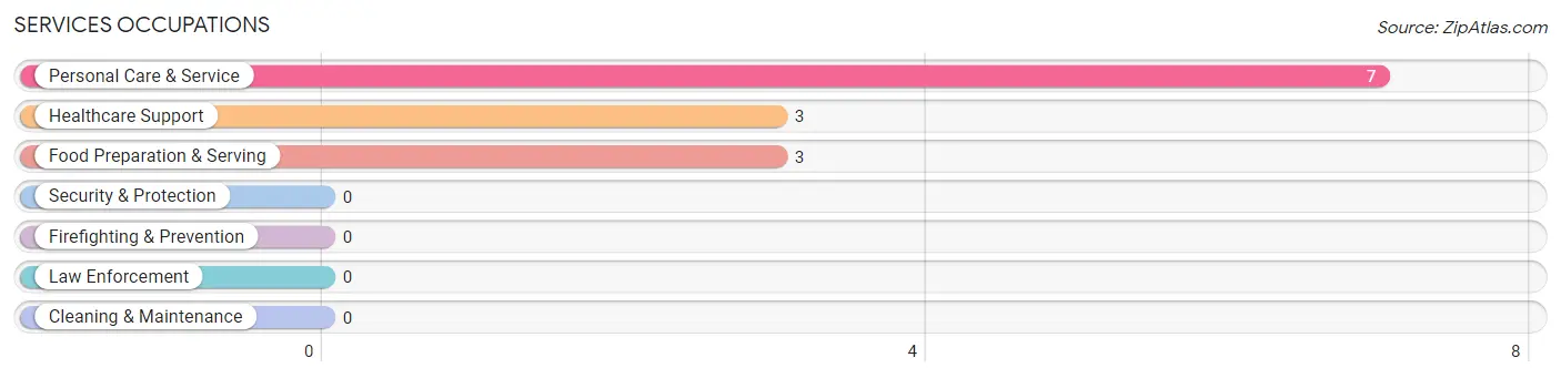 Services Occupations in Geddes