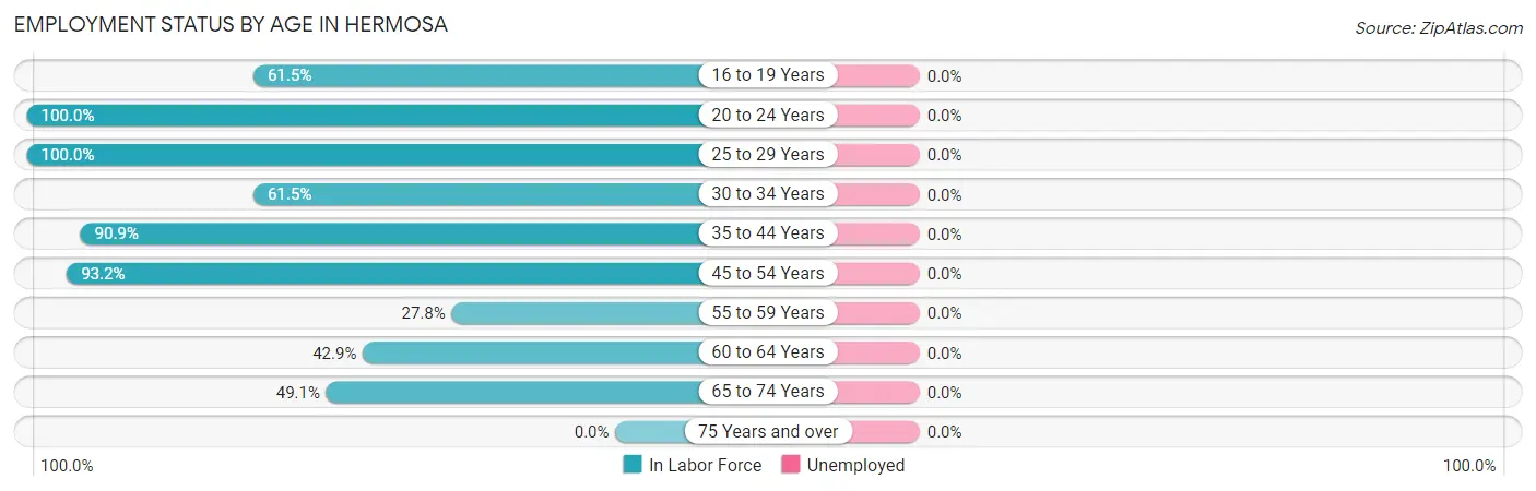 Employment Status by Age in Hermosa
