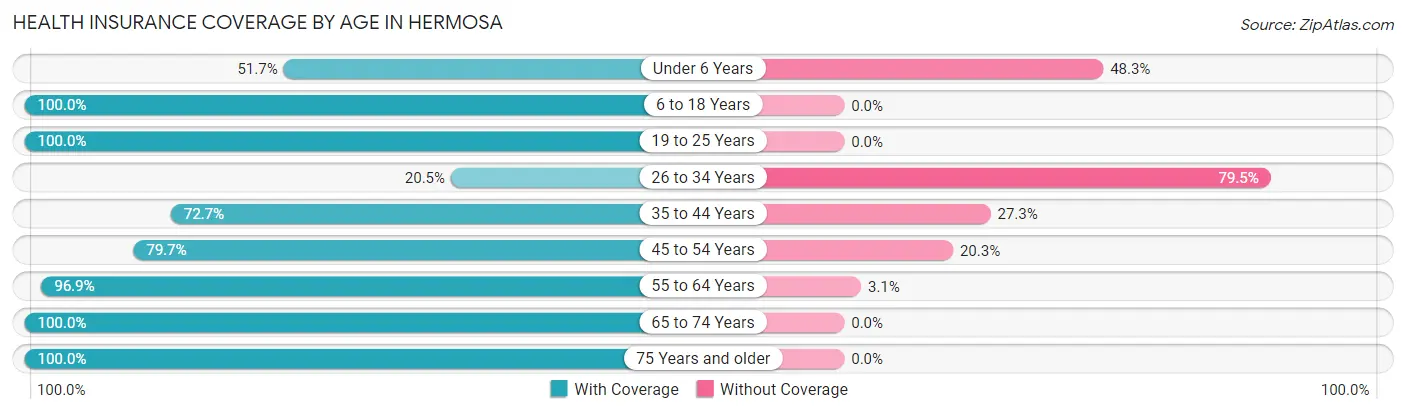 Health Insurance Coverage by Age in Hermosa
