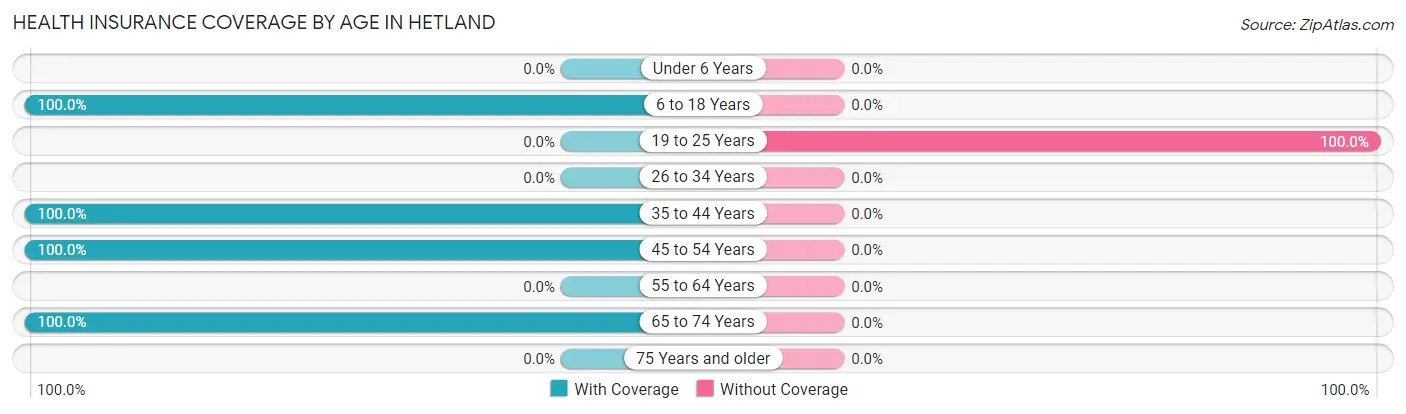 Health Insurance Coverage by Age in Hetland