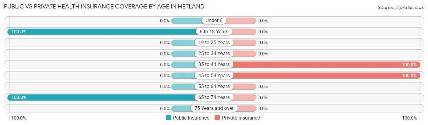 Public vs Private Health Insurance Coverage by Age in Hetland